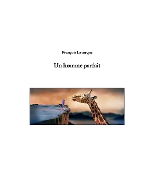 Un homme parfait by François Lavergne