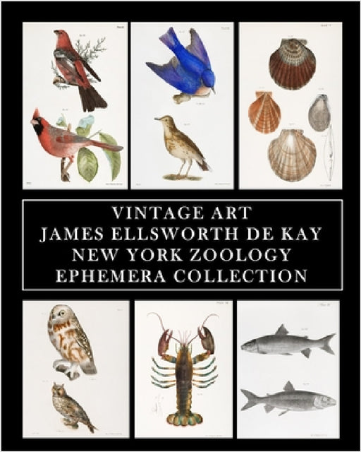 Vintage Art: James Ellsworth De Kay: New York Zoology: Ephemera Collection by Vintage Revisited Press