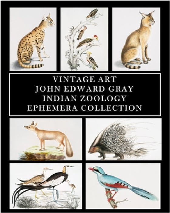 Vintage Art: John Edward Gray: Indian Zoology Ephemera Collection by Vintage Revisited Press