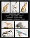 Vintage Art: John Edward Gray: Indian Zoology Ephemera Collection by Vintage Revisited Press