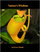 Nature's Wisdom by Ineta Love Wonder