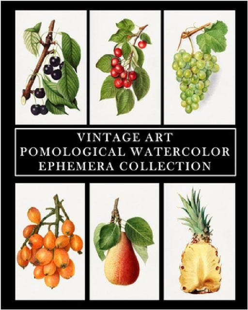 Vintage Art: Pomological Watercolor: Ephemera Collection: Botanical Fruit Prints by Vintage Revisited Press