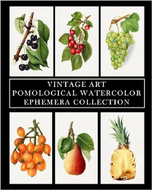 Vintage Art: Pomological Watercolor: Ephemera Collection: Botanical Fruit Prints by Vintage Revisited Press