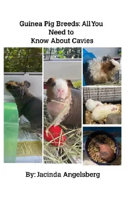 Guinea Pig Breeds: All You Need to Know About Cavies by Jacinda Angelsberg