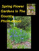 Spring Flower Gardens In The Country Photo Album by Mary Taylor