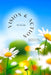 Jesus Sisterhood Planner - Daisies: Vision and Action for the Win by Lynn Lease