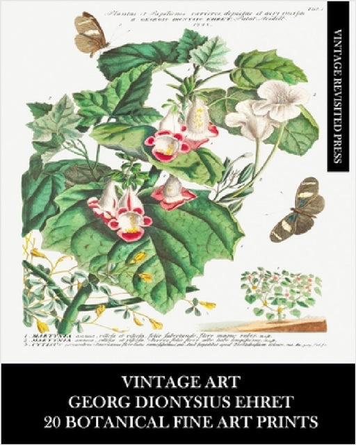 Vintage Art: Georg Dionysius Ehret: 20 Botanical Fine Art Prints: Floriculture and Entomology Ephemera for Framing by Vintage Revisited Press