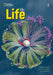 Life 3 with the Spark Platform by John Hughes, Paul Dummett, Helen Stephenson
