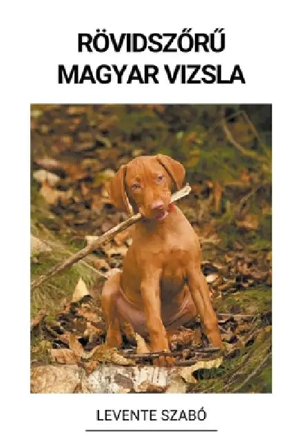 Rövidszőrű Magyar Vizsla by Levente Szabó