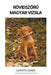 Rövidszőrű Magyar Vizsla by Levente Szabó