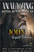Analyzing Notes in the Book of John: John's Contribution to the New Testament Scriptures by Bible Sermons