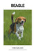 Beagle by Finn Nielsen