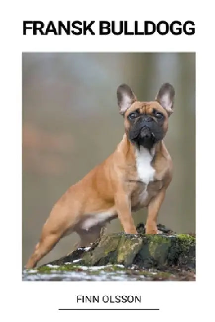 Fransk bulldogg by Finn Olsson