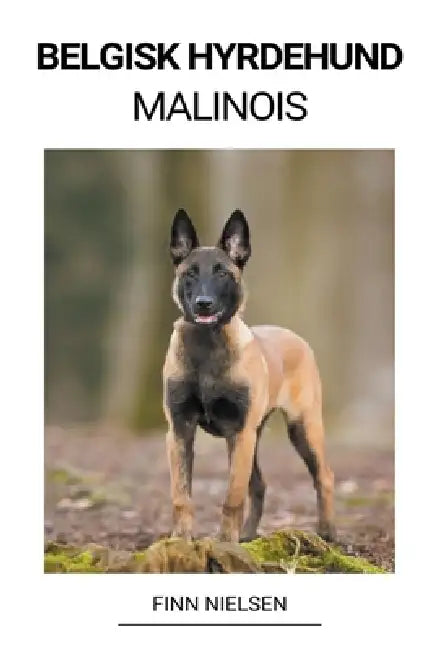 Belgisk Hyrdehund (Malinois) by Finn Nielsen