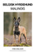 Belgisk Hyrdehund (Malinois) by Finn Nielsen