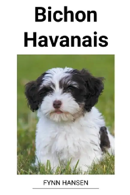 Bichon Havanais by Fynn Hansen