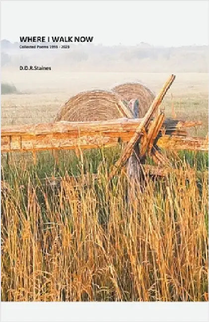 Where I Walk Now by D. D. R. Staines