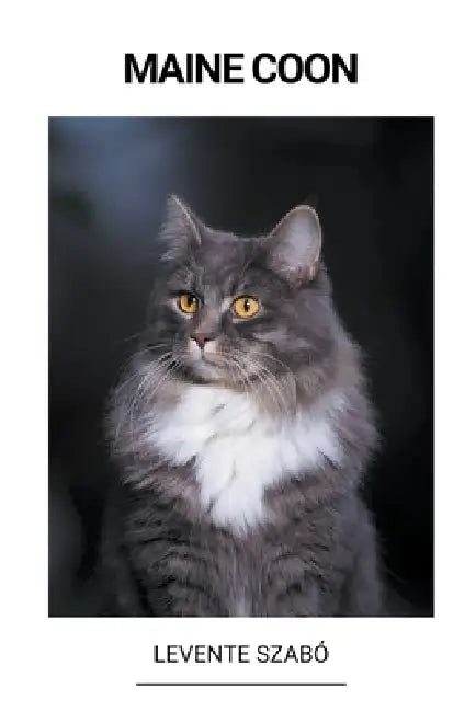 Maine Coon by Levente Szabó