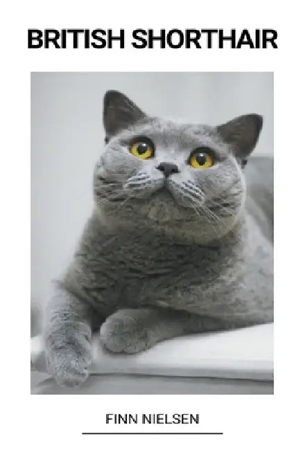 British Shorthair by Finn Nielsen