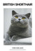 British Shorthair by Finn Nielsen