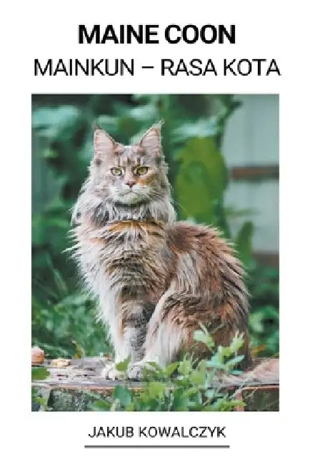 Maine Coon (Mainkun - Rasa Kota) by Jakub Kowalczyk
