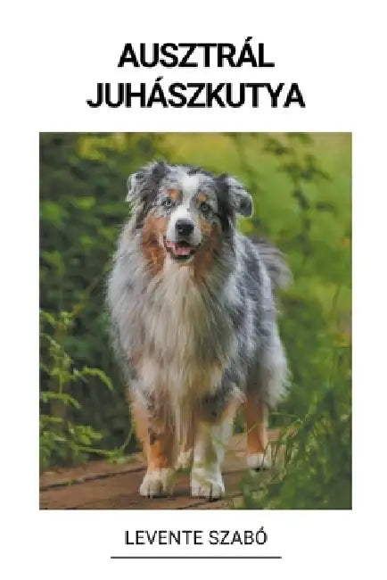 Ausztrál juhászkutya by Levente Szabó
