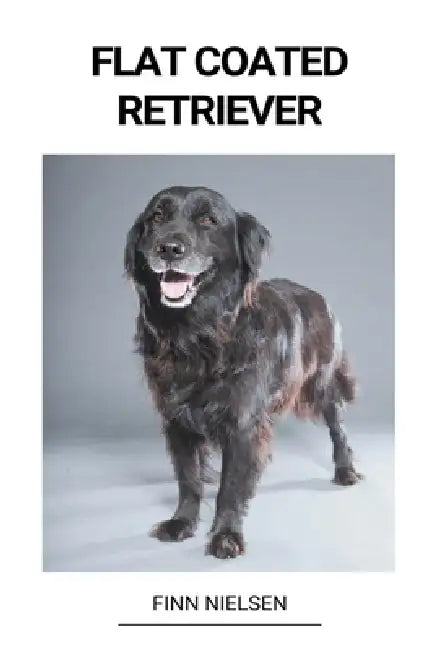 Flat Coated Retriever by Finn Nielsen