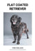Flat Coated Retriever by Finn Nielsen