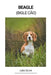 Beagle (Bigle Cão) by Luis Silva
