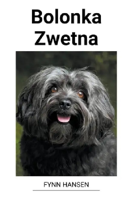 Bolonka Zwetna by Fynn Hansen