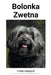 Bolonka Zwetna by Fynn Hansen