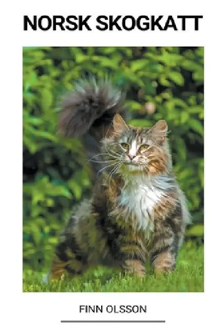 Norsk Skogkatt by Finn Olsson
