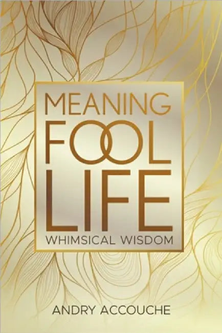 Meaningfool: Life by Accouche, Andry