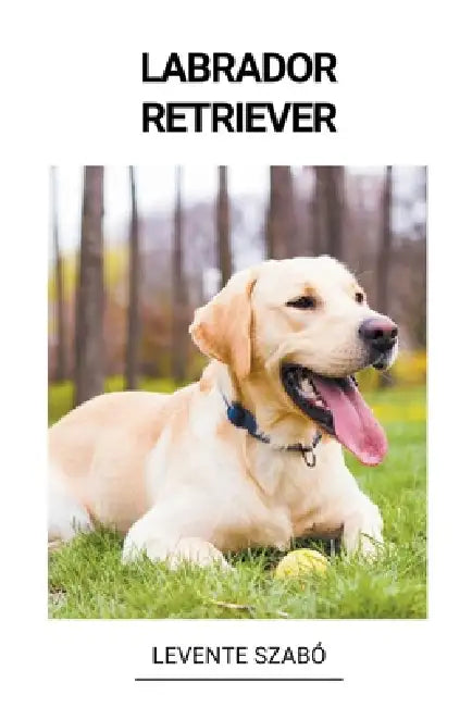 Labrador Retriever by Levente Szabó