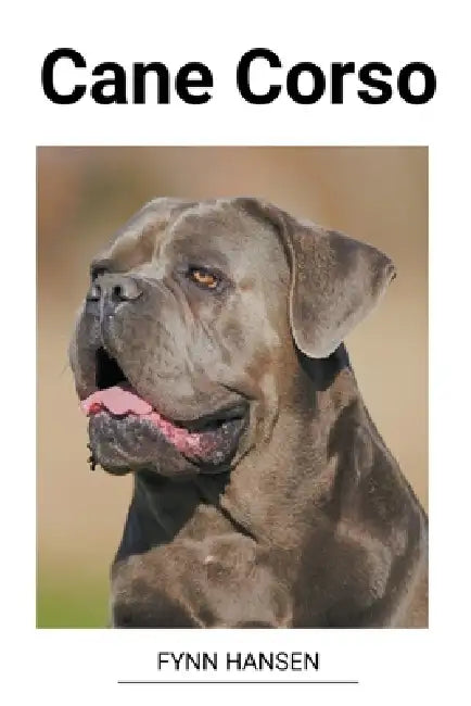 Cane Corso by Fynn Hansen