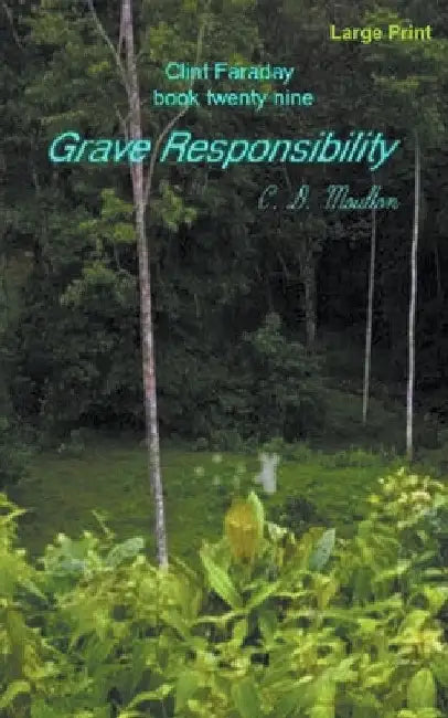 Grave Responsibility by C. D. Moulton