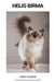 Helig Birma by Finn Olsson