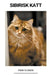 Sibirisk Katt by Finn Olsson