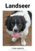 Landseer by Fynn Hansen