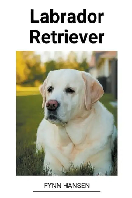 Labrador Retriever by Fynn Hansen