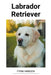 Labrador Retriever by Fynn Hansen
