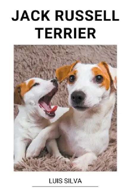 Jack Russell Terrier by Luis Silva