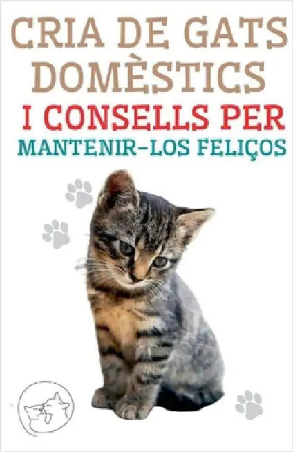 Cria de Gats Domèstics i Consells per Mantenir-los Feliços by Edwin Pinto