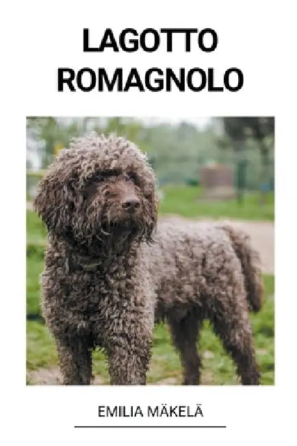 Lagotto Romagnolo by Emilia Mäkelä