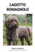 Lagotto Romagnolo by Emilia Mäkelä