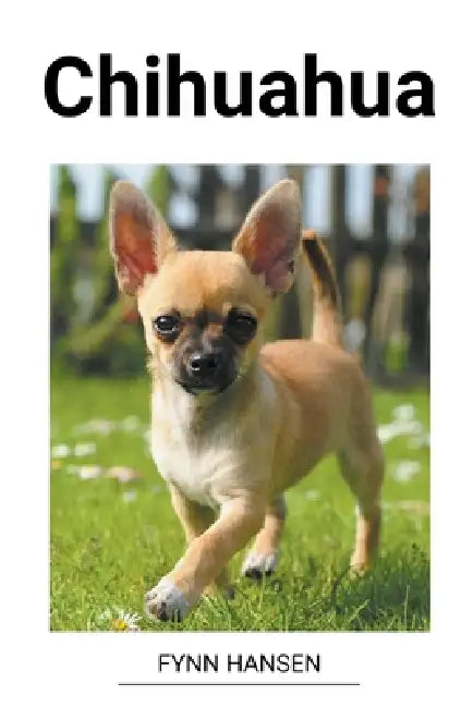 Chihuahua by Fynn Hansen