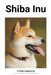 Shiba Inu by Fynn Hansen