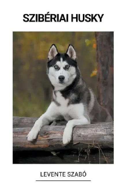 Szibériai Husky by Levente Szabó
