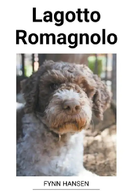 Lagotto Romagnolo by Fynn Hansen