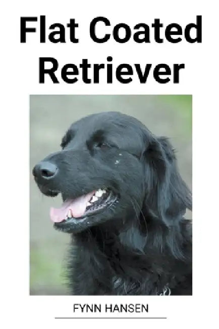 Flat Coated Retriever by Fynn Hansen
